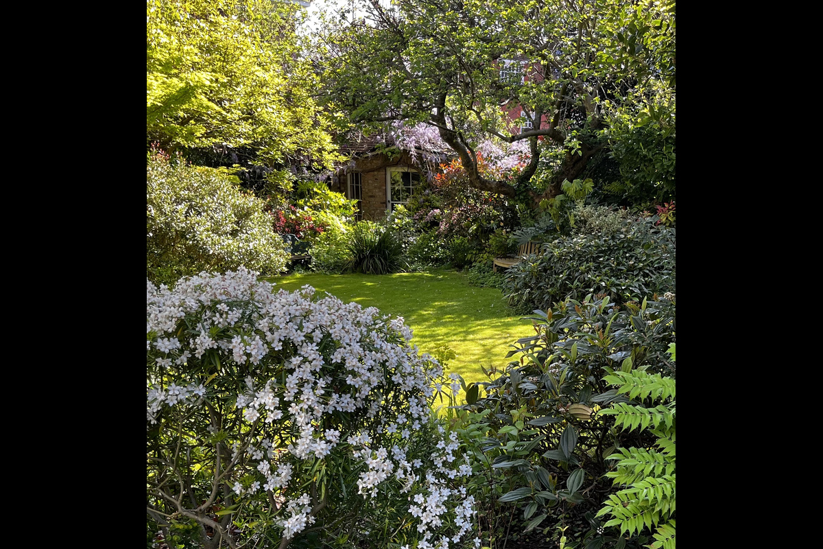 Medium 22 rosslyn hill owners lo 11