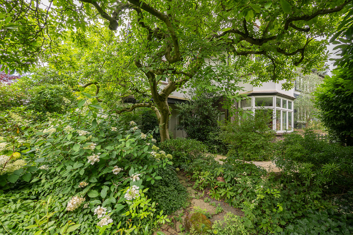 Medium the summit hi 27