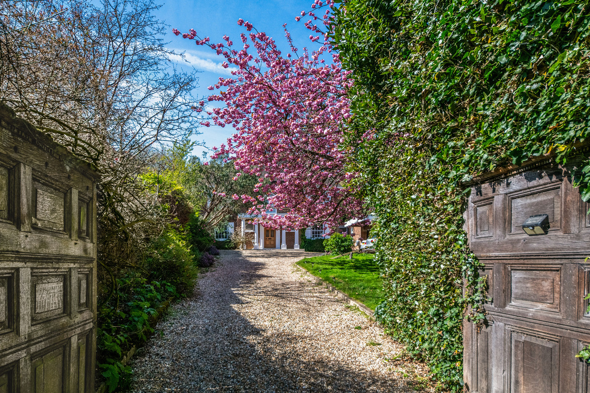 Medium pitt house 4167 gdns1