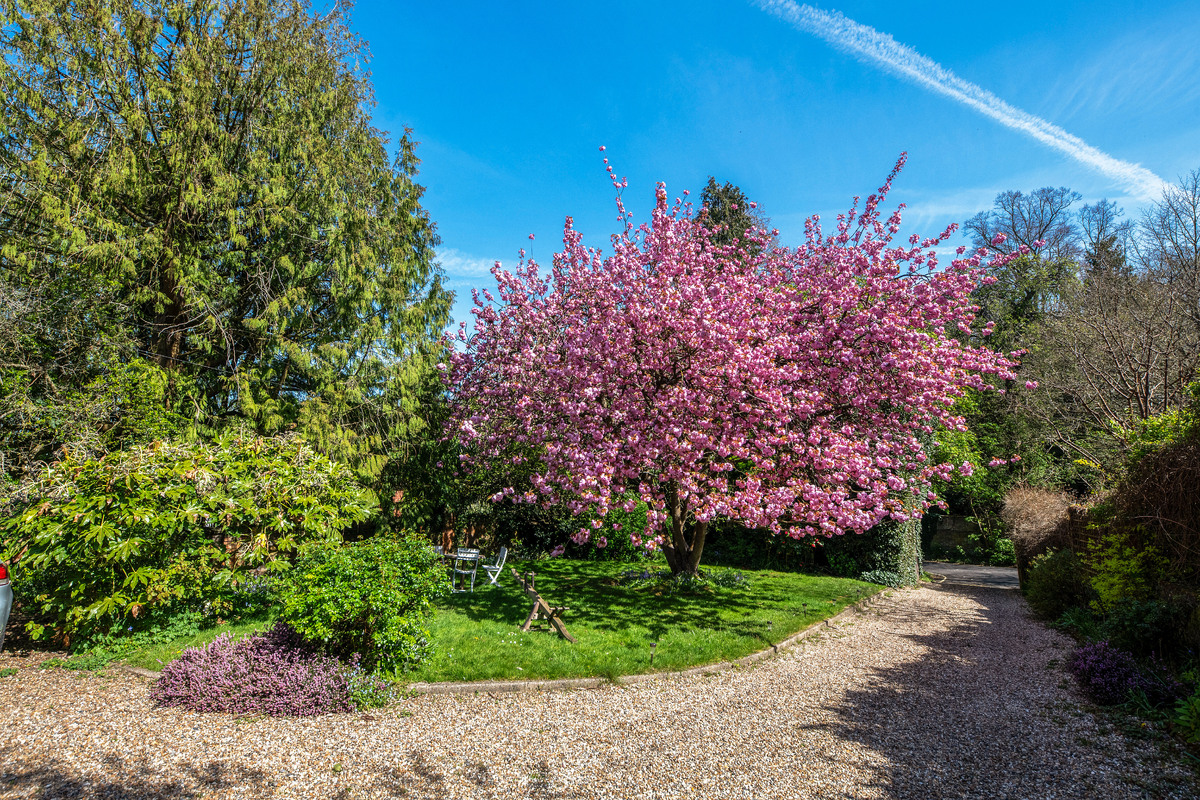 Medium pitt house 4167 gdns3