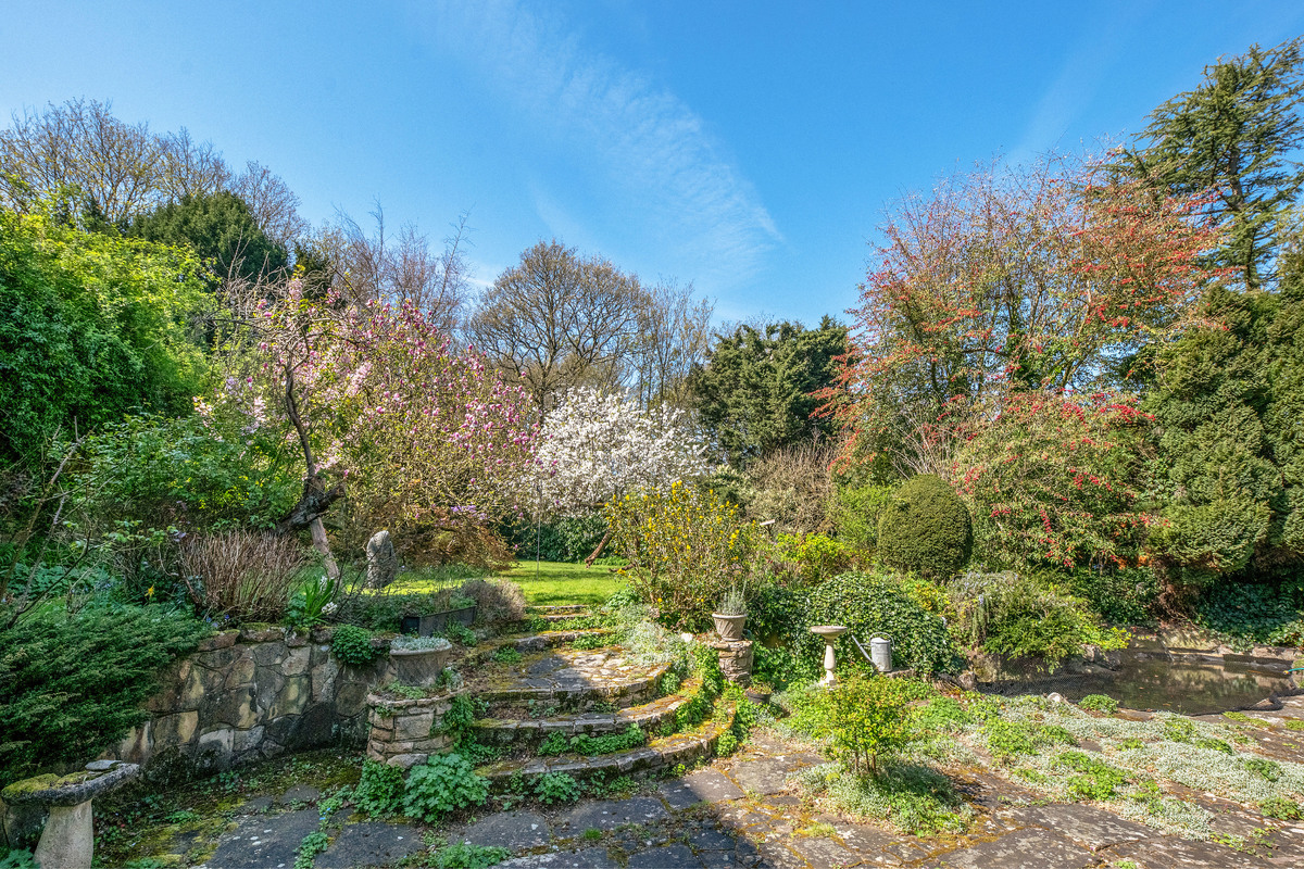 Medium pitt house 4167 gdns6