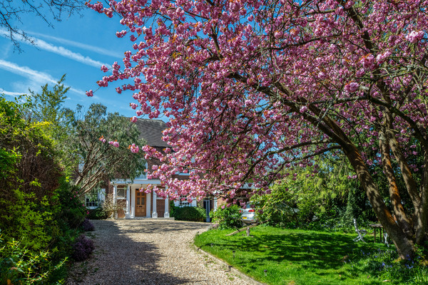 Small pitt house 4167 gdns2